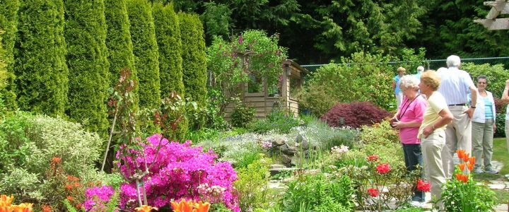 A Colourful Garden